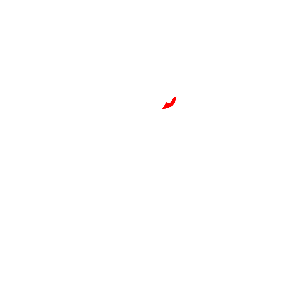 RL | Main Team